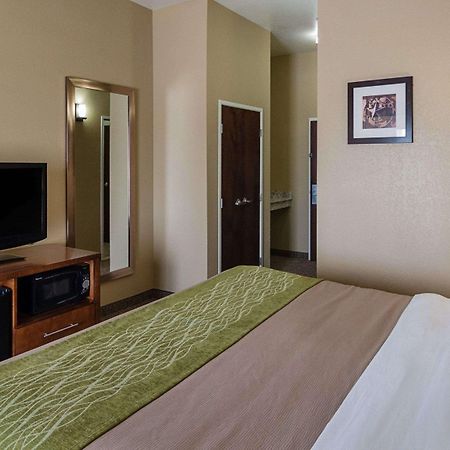 Comfort Inn Midland South I-20 Exteriör bild